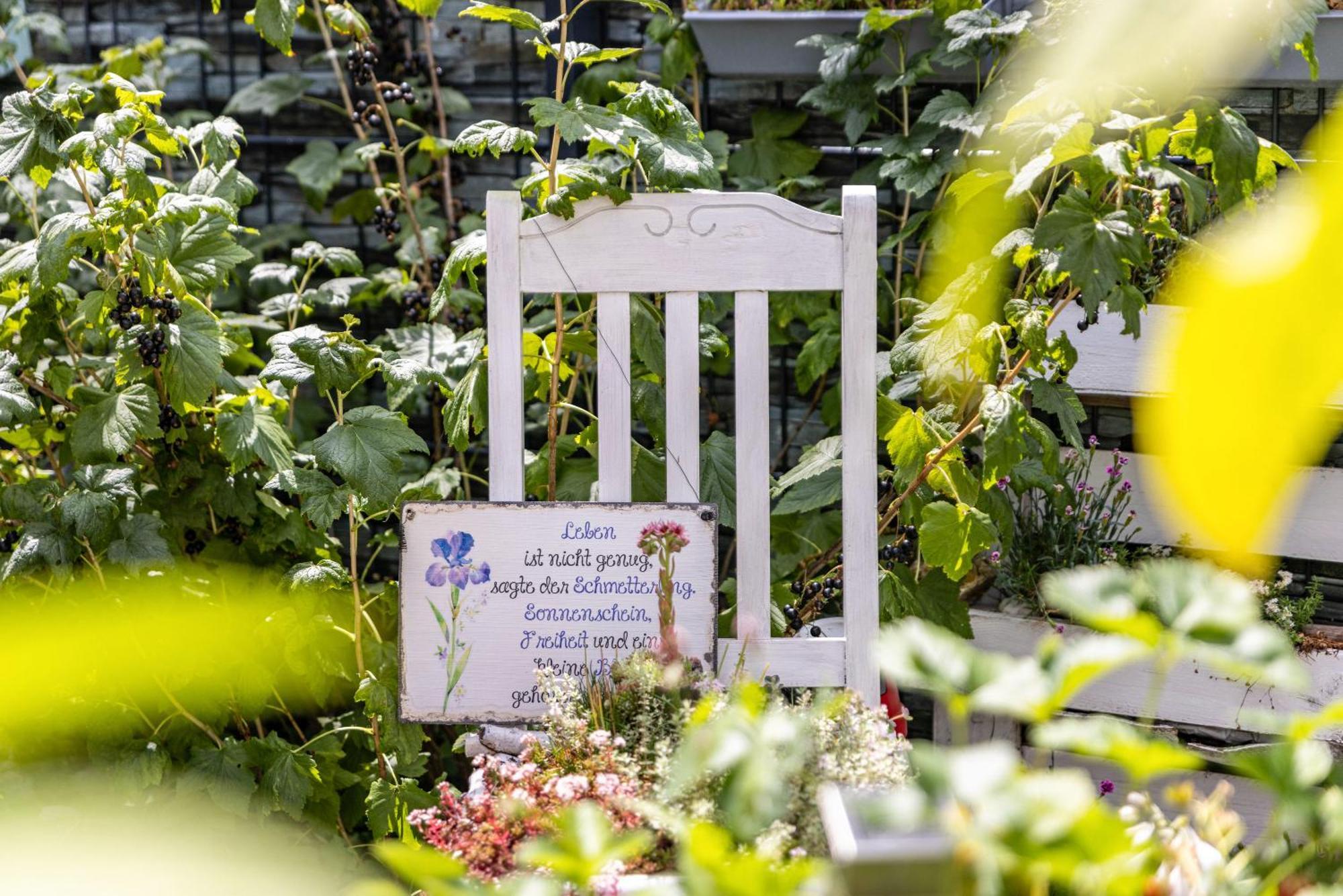 Fuer Traufgaengerle Daire Albstadt Dış mekan fotoğraf